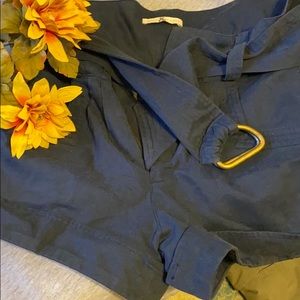 Mike and Chris navy shorts